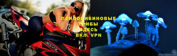 герыч Абинск