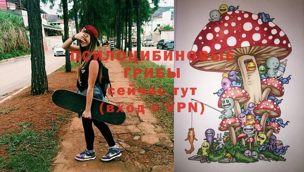 герыч Абинск
