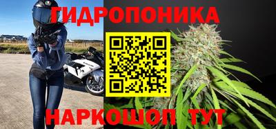 дмт Старая Купавна
