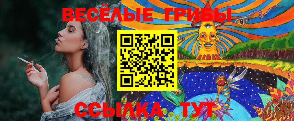 Псилоцибиновые грибы прущие грибы Смоленск